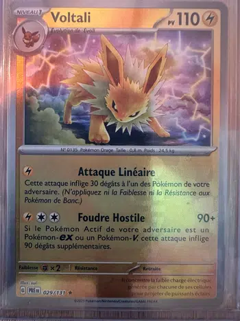 Cartes à l'unité toutes séries confondues petit retard desole