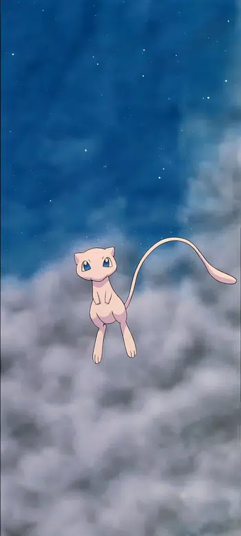 Full chilling nocturne