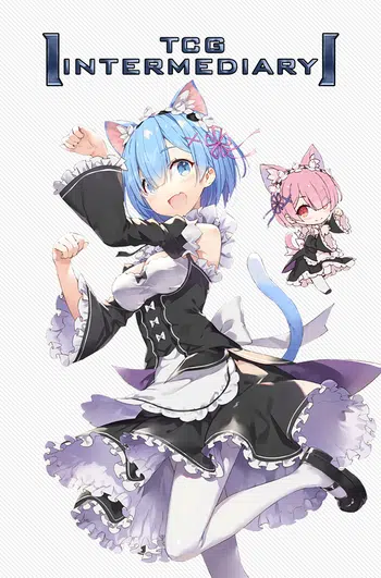 💃 Waifu Goddess Story 10M06 & 2M13 /☄️ Dream World Premium 04 / Evangelion Minobox