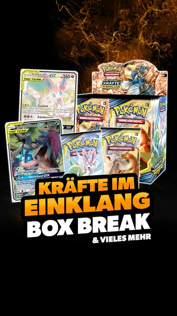 Kräfte im Einklang Box Break & mehr!