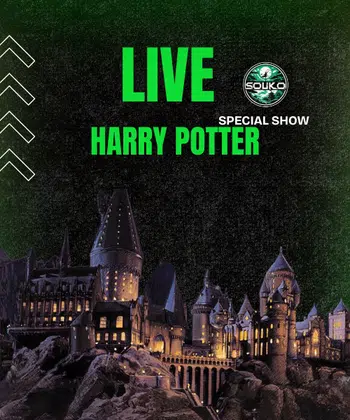🪄 HARRY POTTER 🪄
