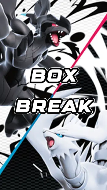 BOXBREAK EV10.5 FOUDRE NOIRE FLAMME BLANCHE