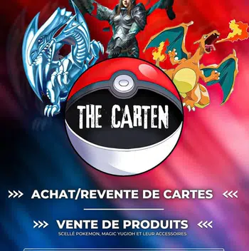 Carte Pokemon