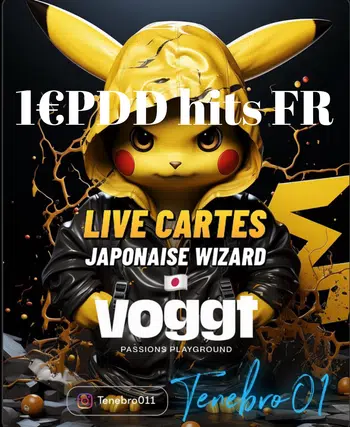 🔥1€ PDD HITS FR 🔥