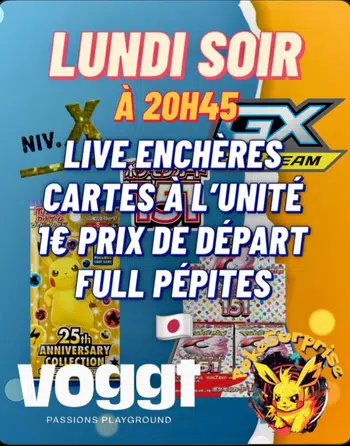 🔥 1€ PDD 🇯🇵 : TAG TEAM, LVL.X, 25 ANS: Full Pépites🔥