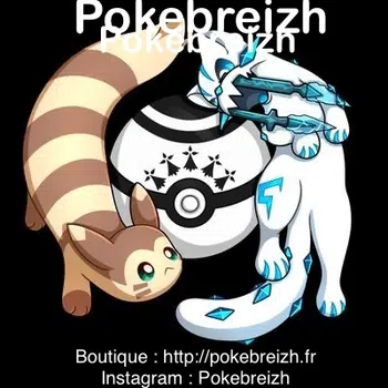 Test premier show Boutique de Pokebreizh