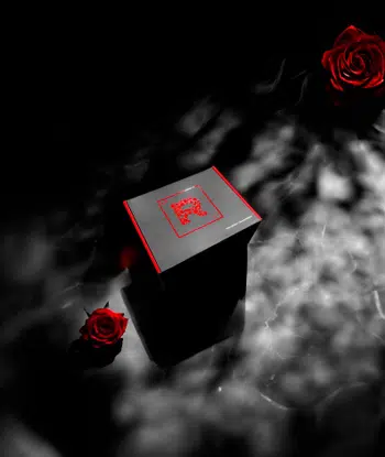 🌹 DROP Elite Lab Box™ 01 - Rocket Edition