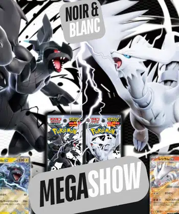 MEGASHOW Noir et blanc Japonais 1€ PDD !