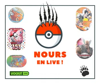 4ième show du Nours - Brocante ! Viens me dire ce que tu cherches