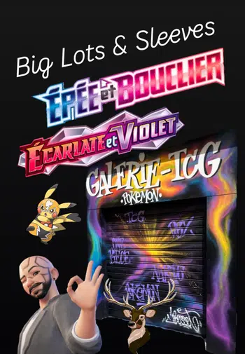 Big Lots EV et Sleeves - Livraison Gratos 🆓