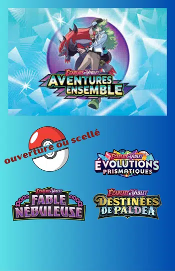 scellé + roue EV09 EV8.5 EV6.5 sv5k...