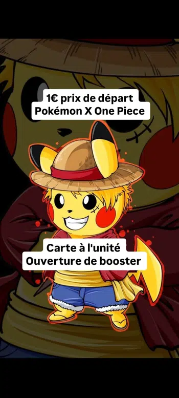Pokémon X One Piece attrapez les tous