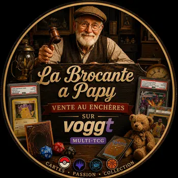 🔥La Brocante a Papy , Pokémon-Lorcana-Naruto ....🔥.