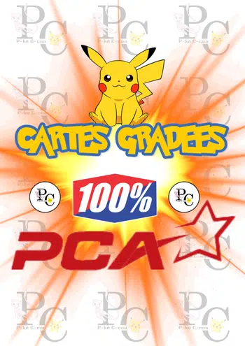💥 CARTES PCA / PRODUITS SCELLES / LOOSE / FR-JAP + SURPRISES... 💥
