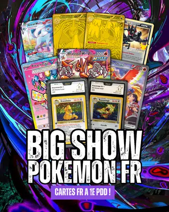 LE BIG SHOW MCO ! FULL PÉPITES POKEMON FR A 1€ PDD !