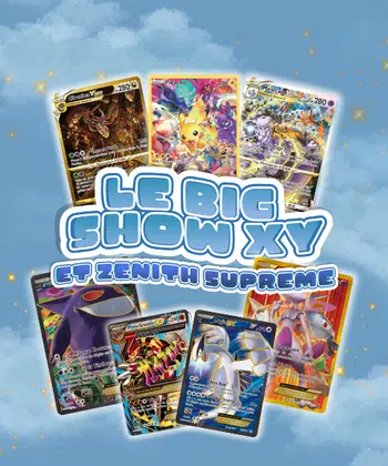 🌟 Sublime Show XY + Master set Zenith Supreme 🌟