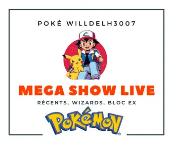 Show cartes , scellé, wizards, bloc ex etc