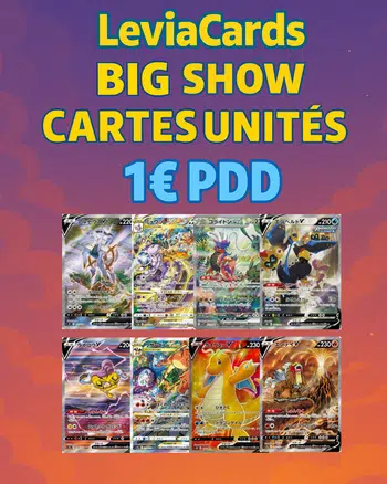 SHOW CARTES UNITES JPN - SAR , SR , AR , CHR