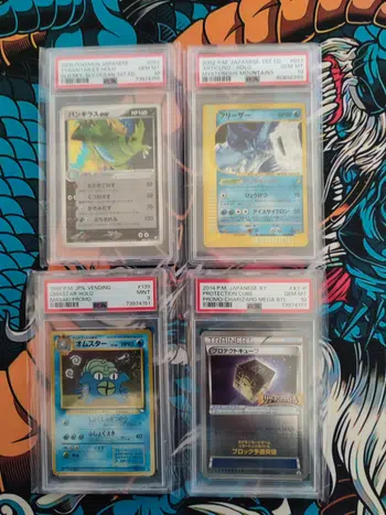 Boutique pokezours