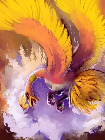 Live avec beaucoup de xy et bien plus