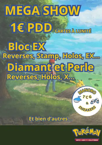 1€ PDD Dingueries Bloc EX, WIZARDS et Diamant et Perle !!!!!