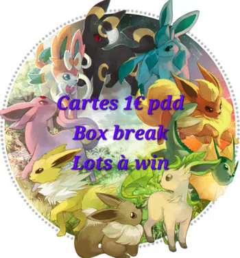Cartes 1€ pdd, Box break, Coffret poster 8.5 à win 🔥