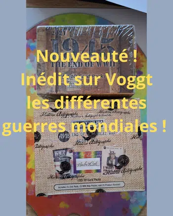 INEDIT Boxbreak de Pièces de collections