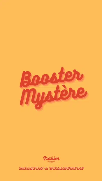 💫MARATHON 500 BOOSTERS JAP ROUE MYSTERE 💫  figurine EEVEE  EN GIVE !