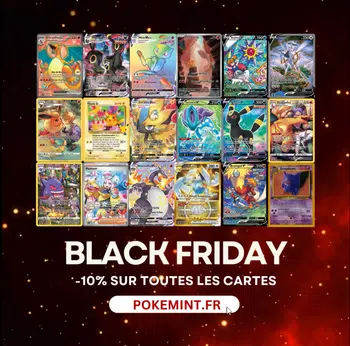 -10% SUR TOUT ! BLACK FRIDAY !