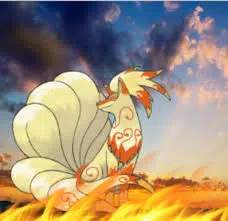 💫 Destockage collection perso 💫