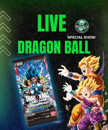 🐉DRAGON BALL FUSION FB09🐉