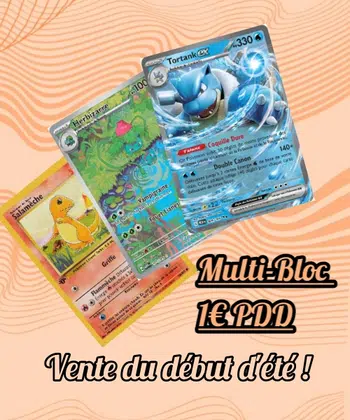 Vente du Début d'été ! Multi-Bloc