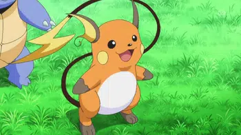 collection raichu