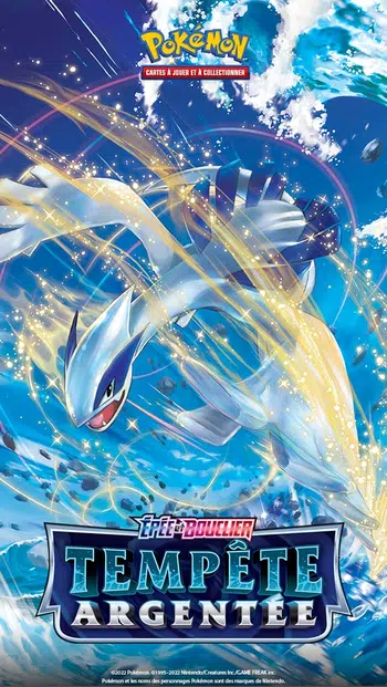 LA BOUTIQUE POKEMON