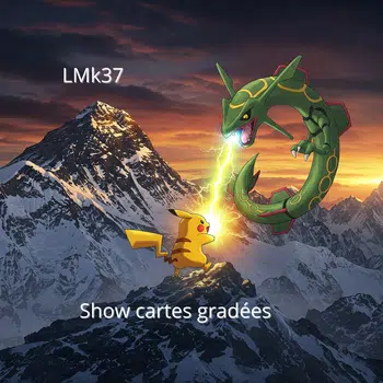 Cartes gradées ! PSA, PCA, Collect Aura et pleins d'autres encore !