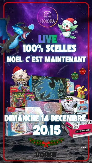 🧲 100% SCELLES - NOEL EN FOLIE 🧲