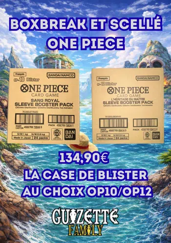 LIVE ONE PIECE
