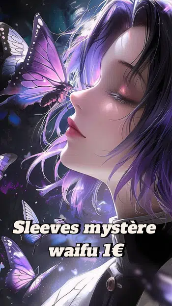 Sleeve mystère Waifu 1€