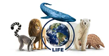 Boutique Life TCG France