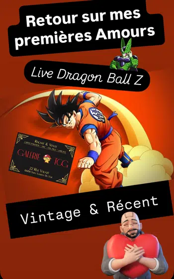 DBZ - Vintage & Récent - Livraison Gratuite 🎁📦🎁