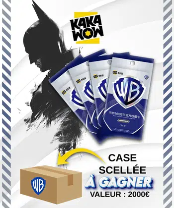 Show Kakawow Warner Bros -> 1 Case d'une valeur de 2000€ à gagner 🔥🚀😱😍