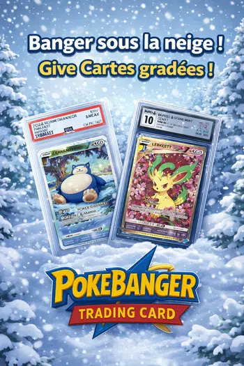 Banger sous la neige ! Cartes gradées give
