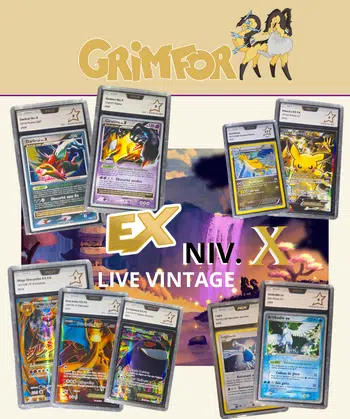 Énorme Show Gradé, Boosters 1€ PDD Niv X, FA, Holo DP
