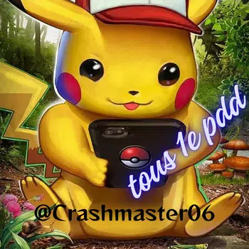 Carte à l'unité/lots 1e PDD (wizards fr/jap + EX + Holo/reverse)