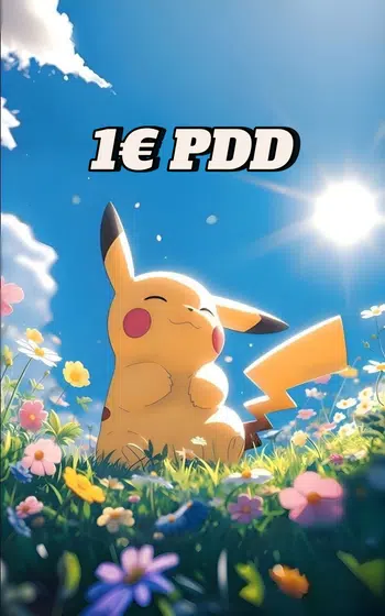 Cartes 🇫🇷&🇯🇵 1€ PDD