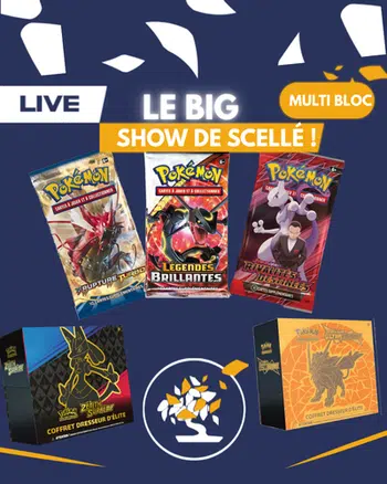 LIVE PRÉ-BELGIUM ! ⚡️