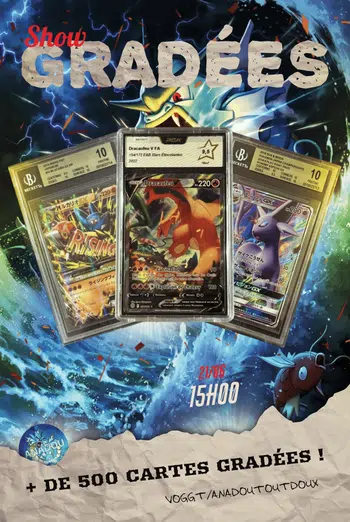 🚀🚨💎 + DE 500 CARTES GRADÉES💎🚨🚀