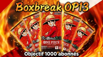 Nouvelle case, nouvelle chance - Boxbreak OP13🔥