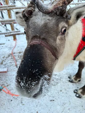 🔥🔥 MÉGA LIVE 1€ PDD EV EB SL XY 🔥🔥 GIVES POUR TOUS 🎁🎁