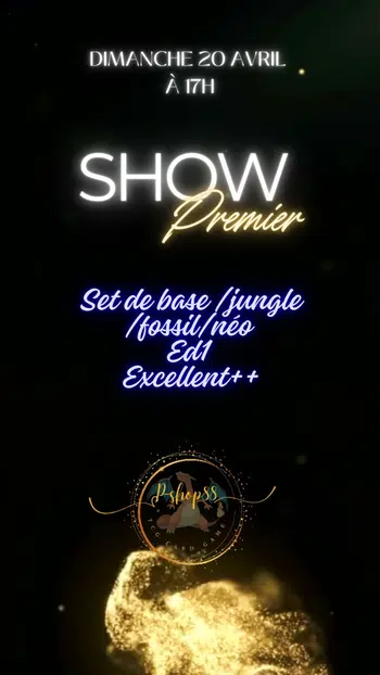 🔥 show d'exception 100% WIZARD  ED1 /ED2  🔥 ÉTAT EXC+